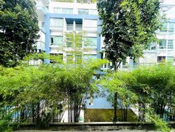 tembelina photo thumbnail #1